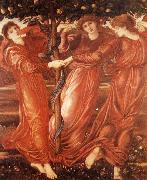 Sir Edward Coley Burne-Jones The Garden of the Hesperides oil painting reproduction